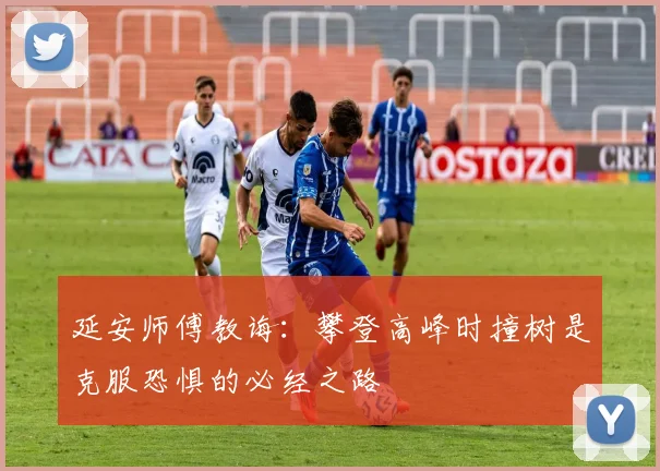 延安师傅教诲：攀登高峰时撞树是克服恐惧的必经之路
