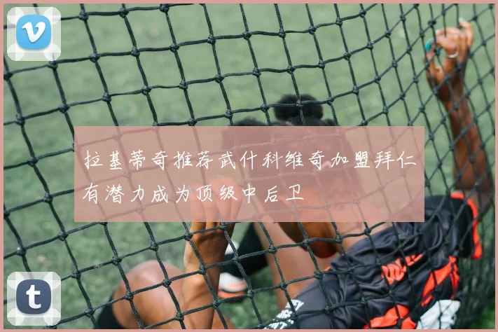 拉基蒂奇推荐武什科维奇加盟拜仁有潜力成为顶级中后卫