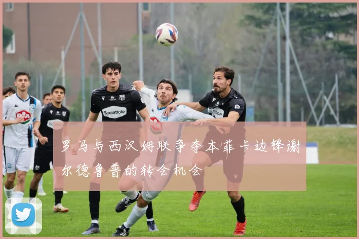 罗马与西汉姆联争夺本菲卡边锋谢尔德鲁普的转会机会