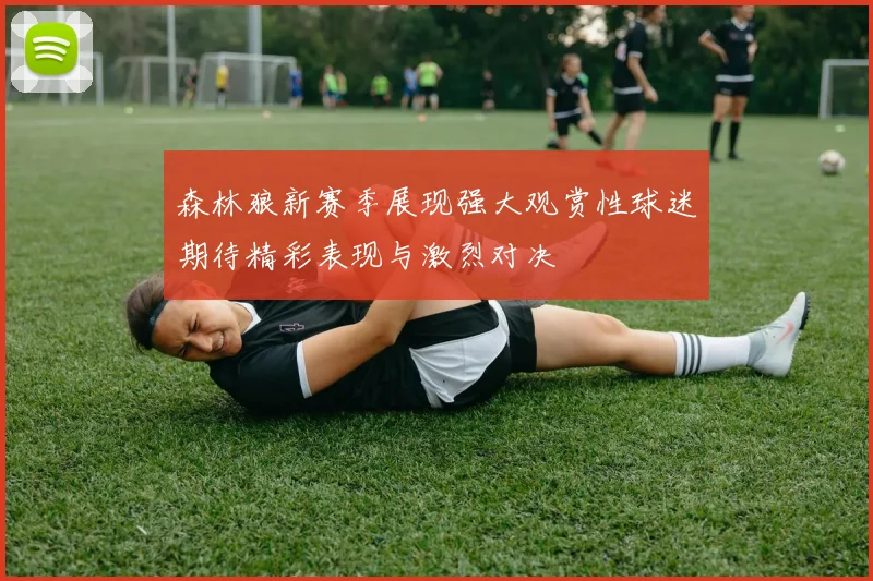 森林狼新赛季展现强大观赏性球迷期待精彩表现与激烈对决