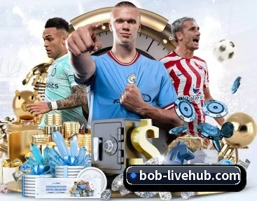 BOB体育的故事(BOBSPORTS)