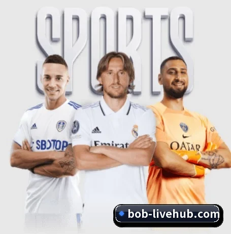 每个板块围绕一个运动项目展开 | BOBSPORTS